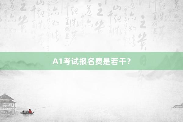A1考试报名费是若干？