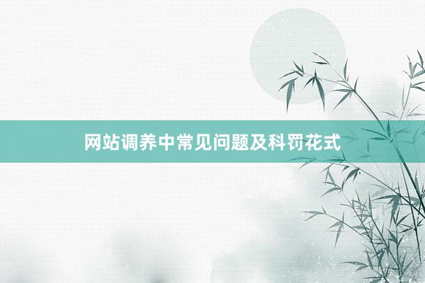 网站调养中常见问题及科罚花式