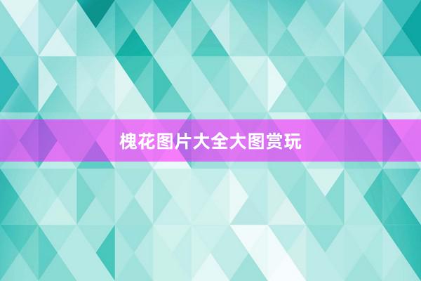 槐花图片大全大图赏玩