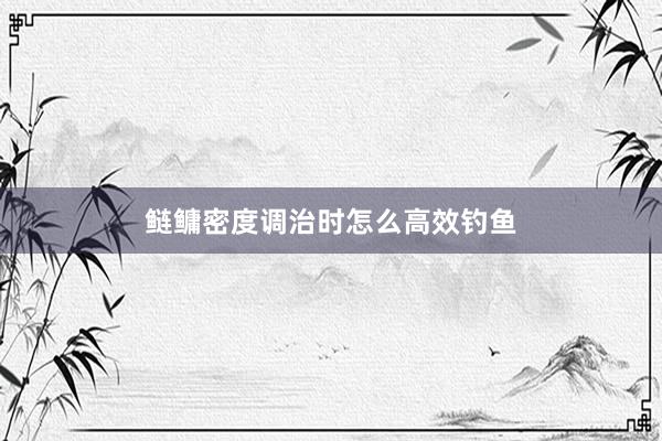鲢鳙密度调治时怎么高效钓鱼
