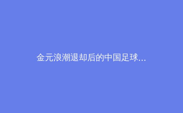 金元浪潮退却后的中国足球：青训体系重建与职业联赛的理性回归
